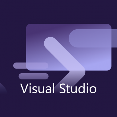 Visual Studio Professional...
